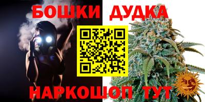 амф Гай