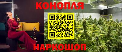 амф Гай